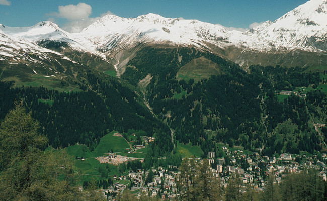 Schutzwald Davos