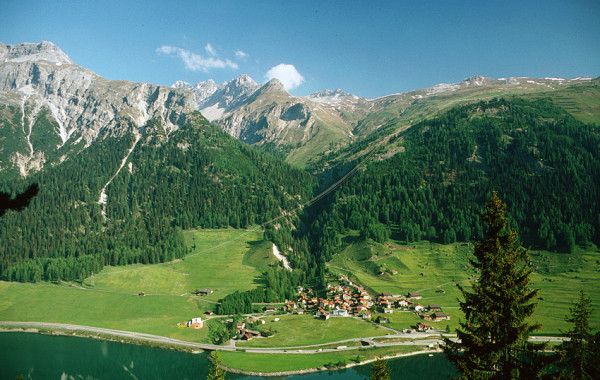 Schutzwald in Graubünden